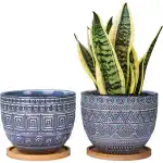 Ceramic Planters
